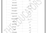do ms word , excel , urdu english typing and data entry fast
